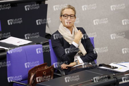 201. Sitzung des Deutschen Bundestages in Berlin