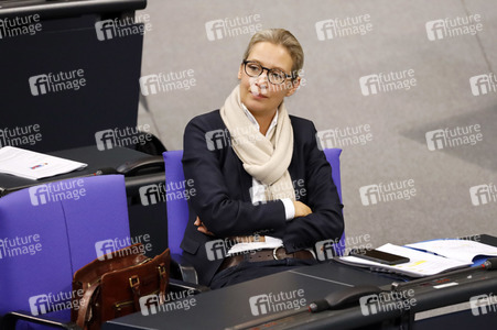 201. Sitzung des Deutschen Bundestages in Berlin