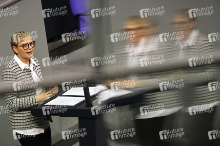 201. Sitzung des Deutschen Bundestages in Berlin