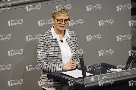 201. Sitzung des Deutschen Bundestages in Berlin