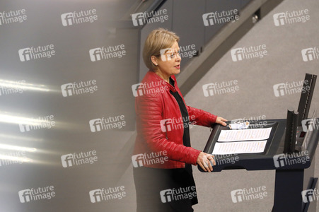 201. Sitzung des Deutschen Bundestages in Berlin