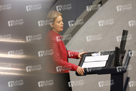 201. Sitzung des Deutschen Bundestages in Berlin