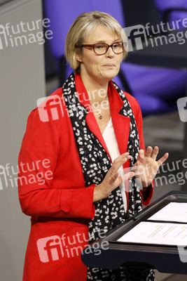 201. Sitzung des Deutschen Bundestages in Berlin