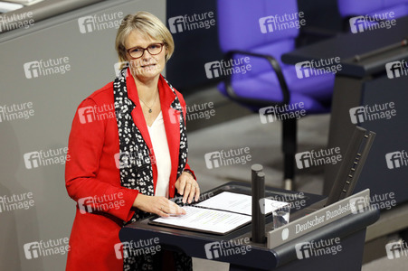 201. Sitzung des Deutschen Bundestages in Berlin