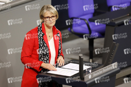 201. Sitzung des Deutschen Bundestages in Berlin
