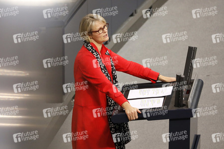 201. Sitzung des Deutschen Bundestages in Berlin