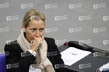 202. Sitzung des Deutschen Bundestages in Berlin