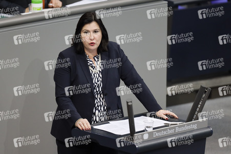 202. Sitzung des Deutschen Bundestages in Berlin