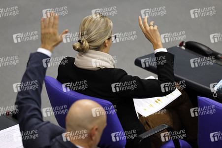 202. Sitzung des Deutschen Bundestages in Berlin