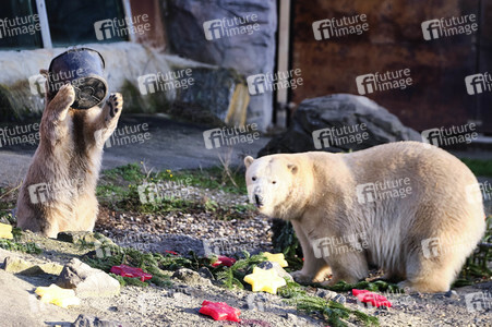 Weihnachtszeit im Erlebnis-Zoo Hannover