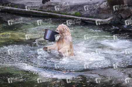 Weihnachtszeit im Erlebnis-Zoo Hannover