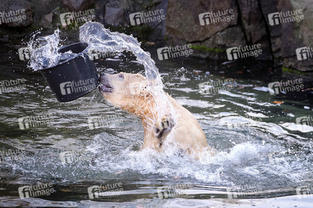Weihnachtszeit im Erlebnis-Zoo Hannover