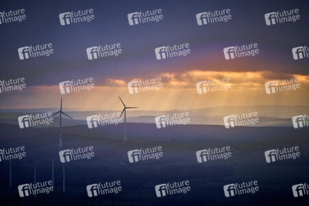 Lichtblicke am Horizont