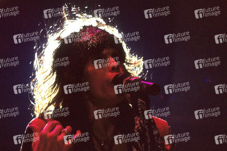 Konzert von Aerosmith in Oldenburg