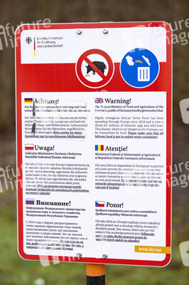 Symbolfoto Müllentsorgung bei der Schweinepest