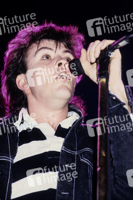 Konzert von Paul Young & The Royal Family in London