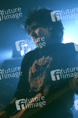 Konzert von Die Ärzte in Hannover