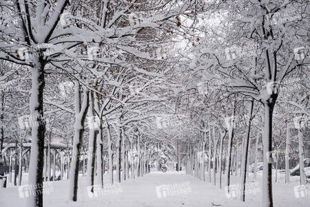 Sturmtief Filomena sorgt für Chaos in der Region Madrid