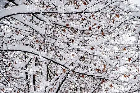 Sturmtief Filomena sorgt für Chaos in der Region Madrid