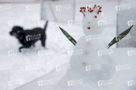 Sturmtief Filomena sorgt für Chaos in der Region Madrid