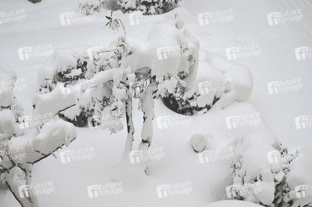 Sturmtief Filomena sorgt für Chaos in der Region Madrid