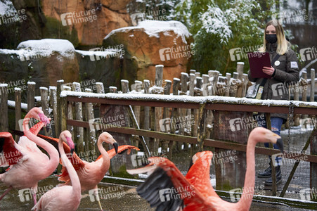 Tierische Inventur im Erlebnis-Zoo Hannover