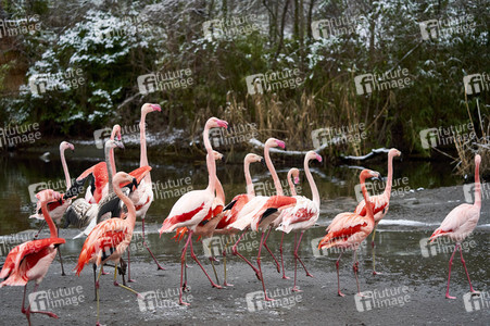 Tierische Inventur im Erlebnis-Zoo Hannover