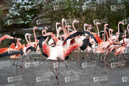 Tierische Inventur im Erlebnis-Zoo Hannover