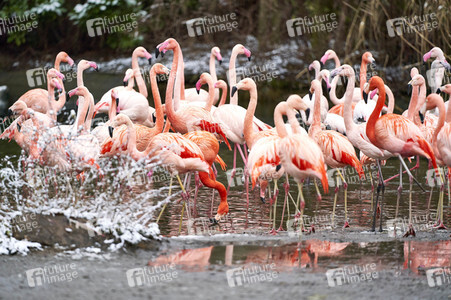 Tierische Inventur im Erlebnis-Zoo Hannover