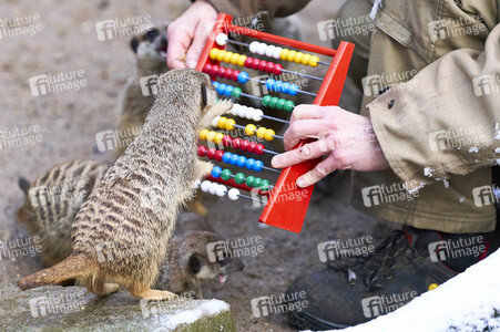 Tierische Inventur im Erlebnis-Zoo Hannover