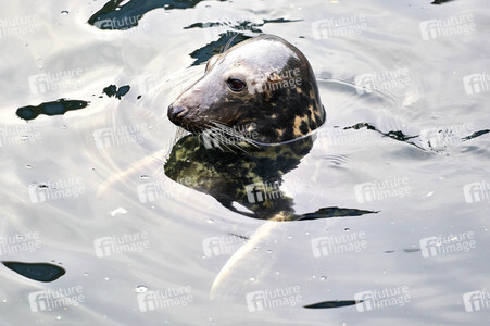 Tierische Inventur im Erlebnis-Zoo Hannover