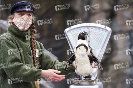 Tierische Inventur im Erlebnis-Zoo Hannover