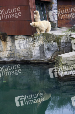 Tierische Inventur im Erlebnis-Zoo Hannover