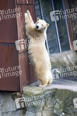 Tierische Inventur im Erlebnis-Zoo Hannover