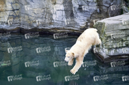 Tierische Inventur im Erlebnis-Zoo Hannover