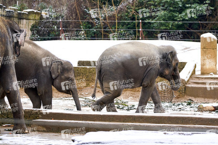 Tierische Inventur im Erlebnis-Zoo Hannover