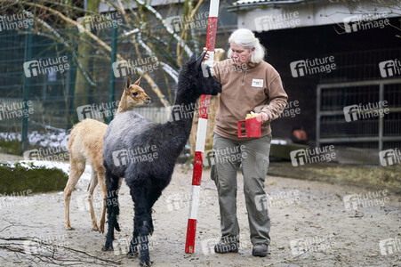 Tierische Inventur im Erlebnis-Zoo Hannover