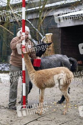 Tierische Inventur im Erlebnis-Zoo Hannover