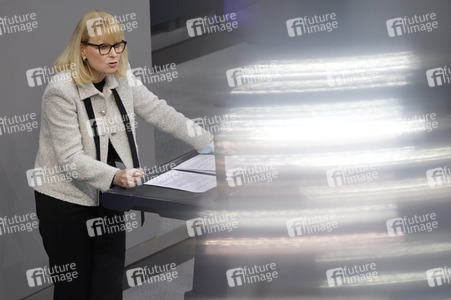 203. Sitzung des Deutschen Bundestages in Berlin