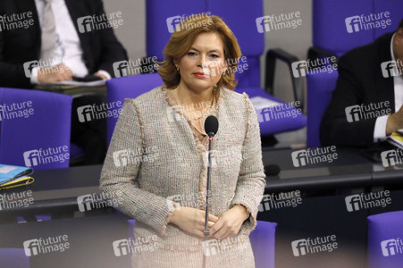 203. Sitzung des Deutschen Bundestages in Berlin