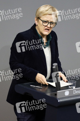 203. Sitzung des Deutschen Bundestages in Berlin