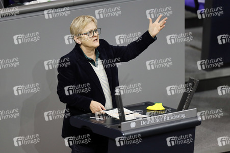 203. Sitzung des Deutschen Bundestages in Berlin