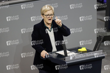 203. Sitzung des Deutschen Bundestages in Berlin