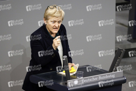 203. Sitzung des Deutschen Bundestages in Berlin