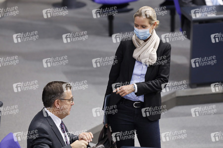 204. Sitzung des Deutschen Bundestages in Berlin