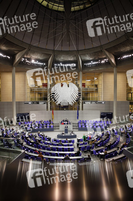 204. Sitzung des Deutschen Bundestages in Berlin