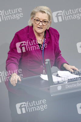 203. Sitzung des Deutschen Bundestages in Berlin