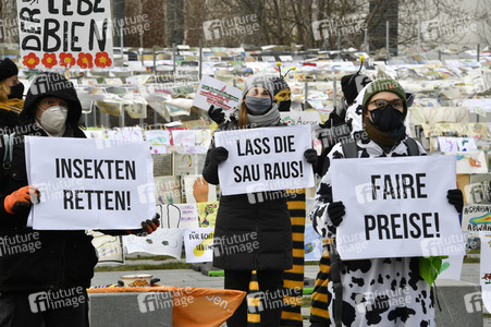 Demonstration 'Wir haben es satt' in Berlin