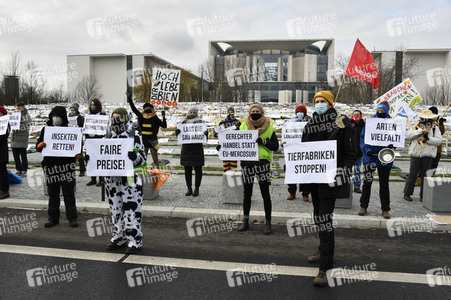 Demonstration 'Wir haben es satt' in Berlin