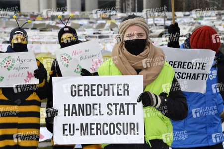 Demonstration 'Wir haben es satt' in Berlin
